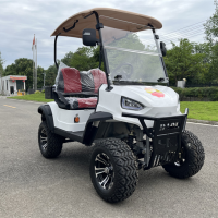 高尔夫2座电动车(可定制)